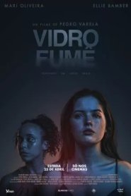 Vidro Fumê
