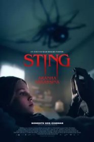 Aranha Assassina