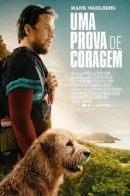 Uma Prova de Coragem