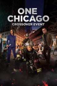 One Chicago Crossover