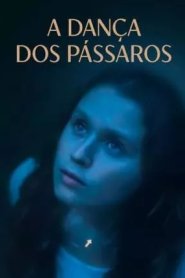 A Dança dos Pássaros