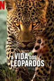 A Vida dos Leopardos