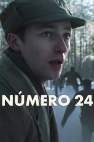 Número 24