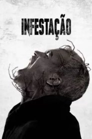 Infestação