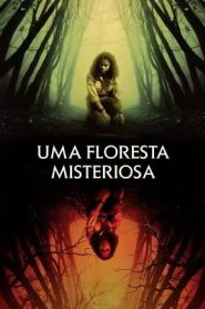 Uma Floresta Misteriosa